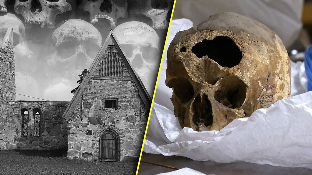 Suomesta 1800-luvulla Ruotsiin viedyt pääkallot palasivat Pälkäneelle