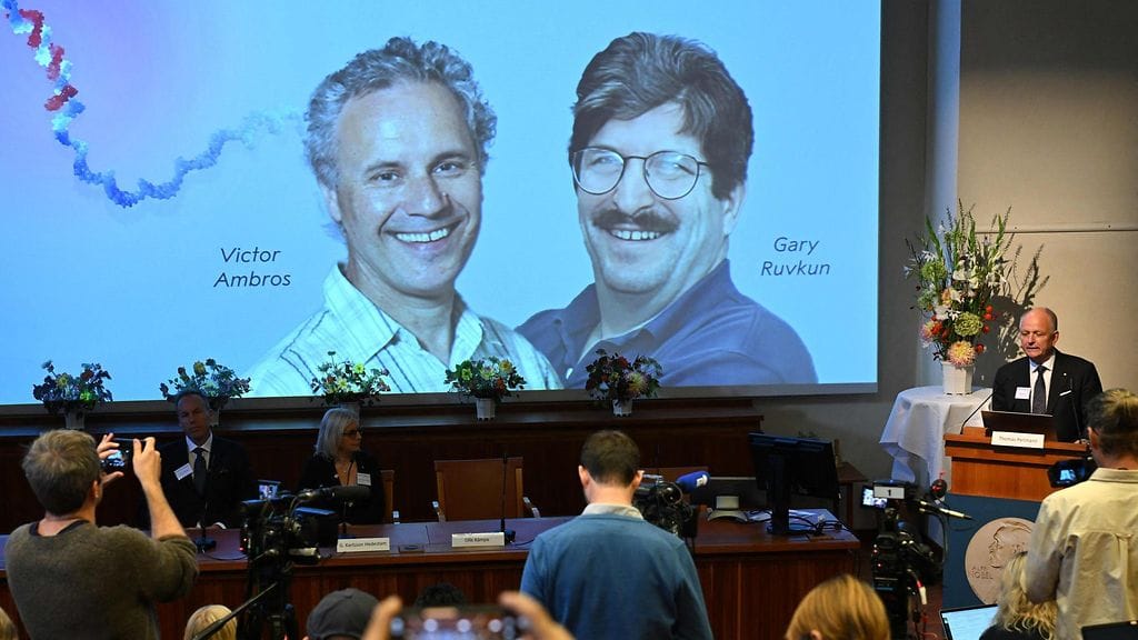 Lääketieteen Nobel-palkinnon saavat tänä vuonna yhdysvaltalaiset Victor Ambros ja Gary Ruvkun. Komitean jäsen Olle Kaempe kertoi voitosta tiedotusvälineille Karoliinisessa instituutissa Tukholmassa tänään.