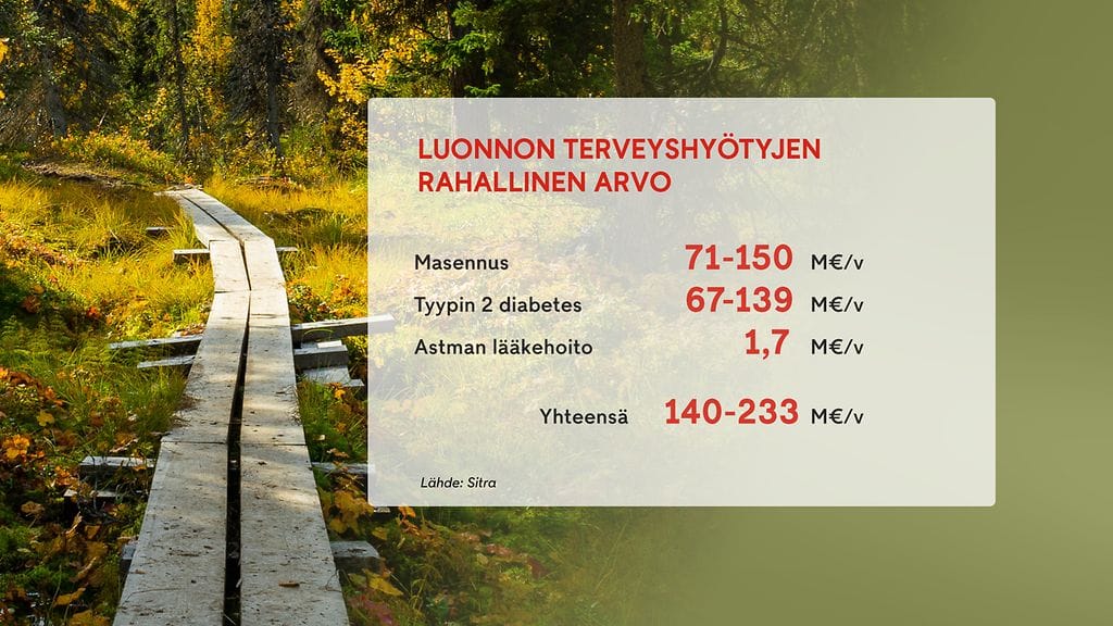 2410_luonnon_terveyshyodyt_4
