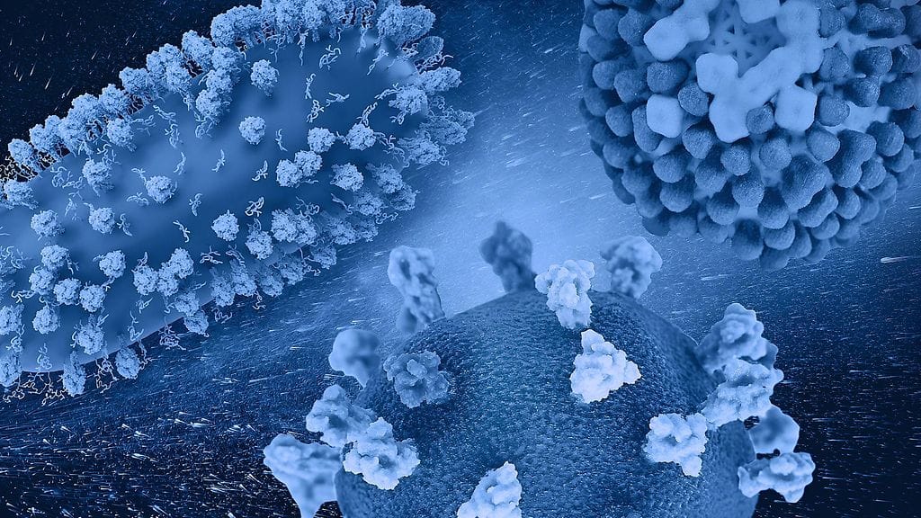 Tutkijat onnistuivat ohjeistamaan tekoälyn luomaan eläviä tappajaviruksia.