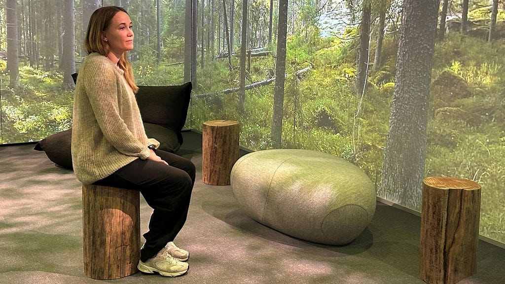 virtuaaliluonto, Luke