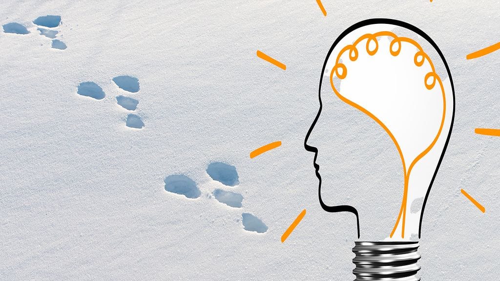 Asiantuntija avaa "tolan" ja "ällikällä lyödyn" taustoja.