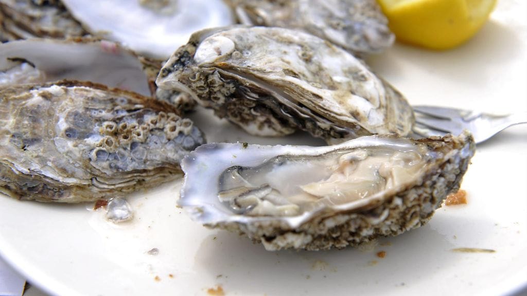 Osassa osterinäytteistä on havaittu norovirusta.