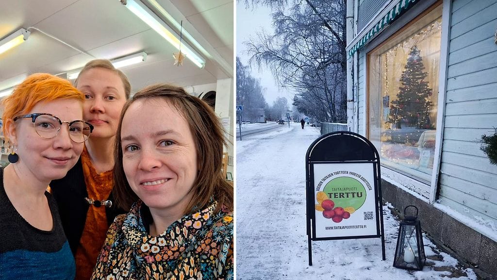 taitajapuoti terttu julkisivu