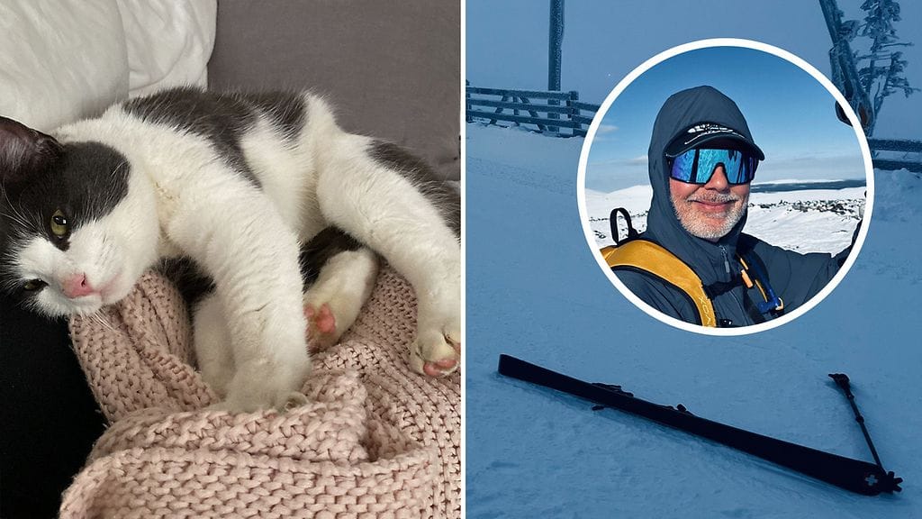 Tooji-kissa löytyi puolen vuoden jälkeen Tukholmasta. Mika pelasti pikkulapsen laskettelurinteessä.