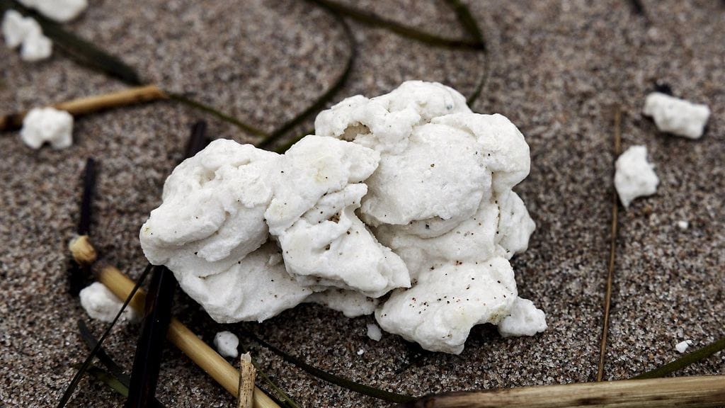 Rasva on peräisin Nesteen merikuljetuksia tekevän aluksen pesuvesistä.