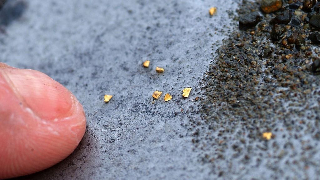 Kuvituskuva kultahipuista.