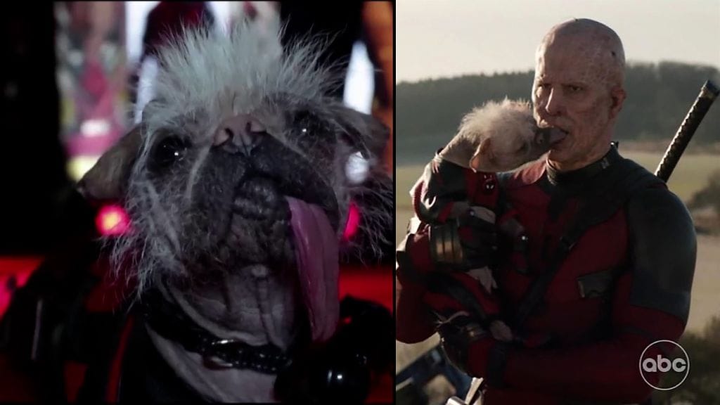 2402 REUTERS PEGGY KOIRA