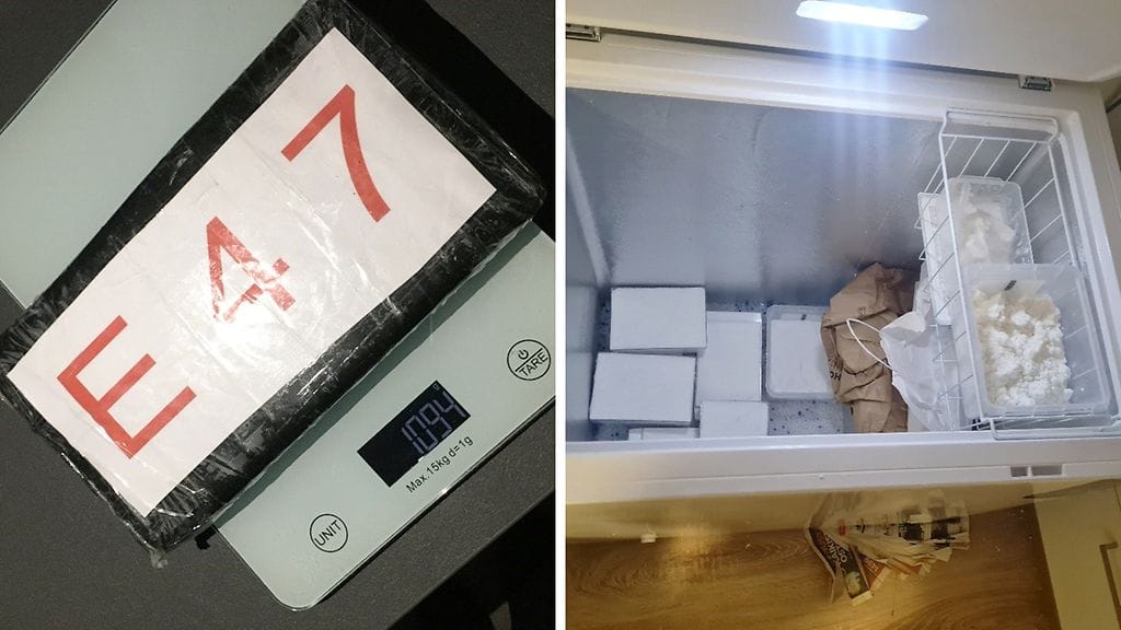 Poliisi löysi huumeita muun muassa arkkupakastimesta.