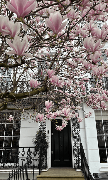 Tessaliina Ilmelä joutuu viettämään Lontoossa ylimääräisen vuorokauden Heathrow’n lentokentän laajan sähkökatkon takia. (2)