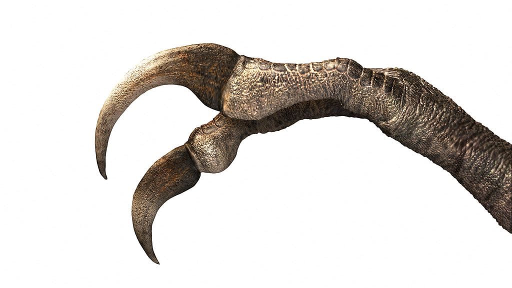 2025-03-25T150422Z_3_LYNXNPEL2O0Q5_RTROPTP_4_SCIENCE-DINOSAUR