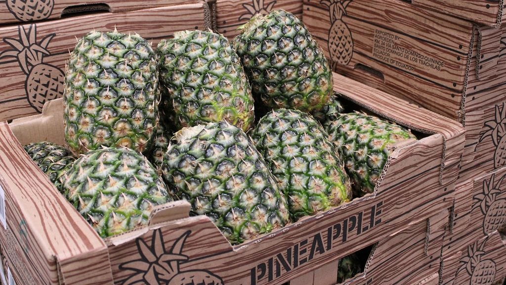 Tupsuttomia ananaksia myydään nyt kaikissa Lidl-myymälöissä.