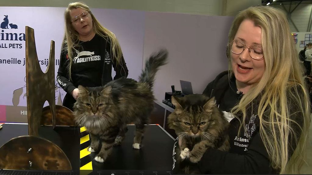 Activen eläintenhoitaja ja -kouluttaja Jenni Yli-Tainio ja Hulina-kissa.