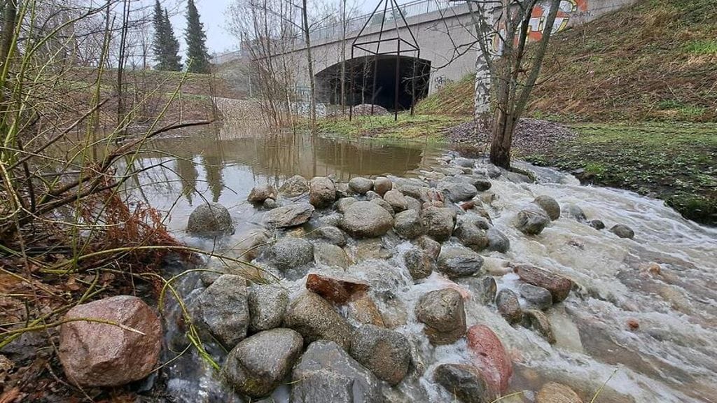 Taimenen poikasille vahinkoa aiheuttanut pato Pitäjänmäessä puretaan.
