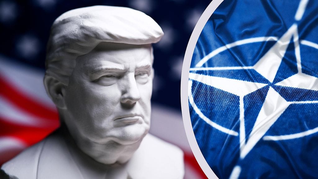 Trumpin nousu presidentiksi näyttäisi heijastuvan myös Suomen Nato-jäsenyyden kannatukseen.