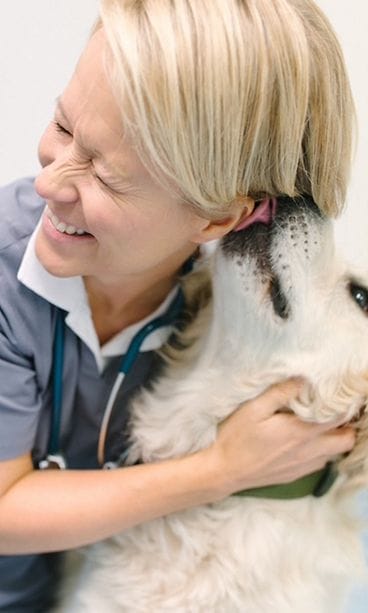 Chita Wahlroos Eläinklinikka Avec 2