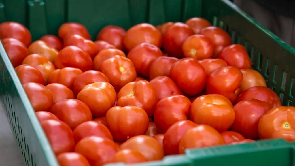 Kotimaiset kurkut, tomaatit ja salaatit ovat suomalaisten suosikkivihanneksia.