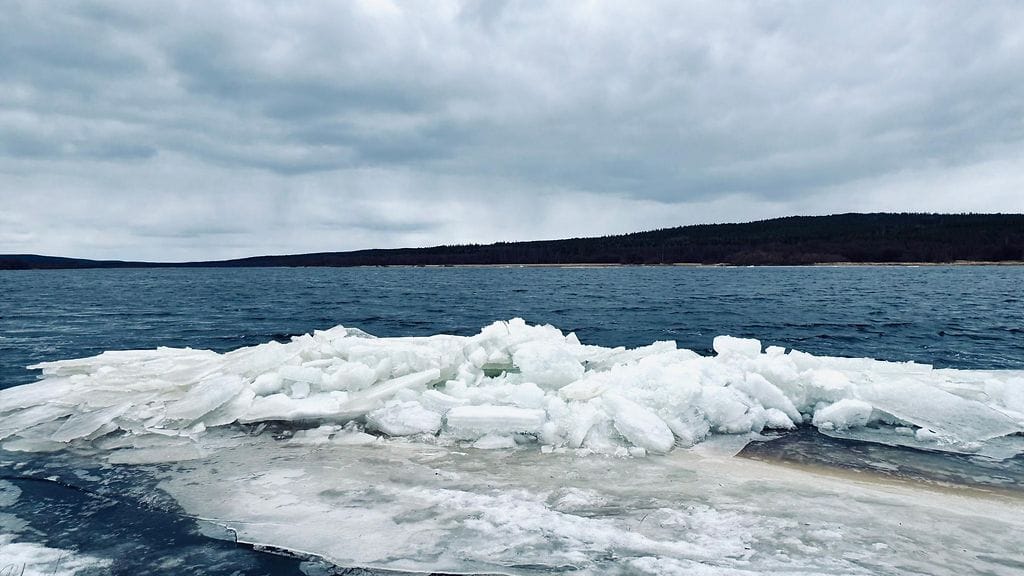 Ounasjoki oli jo pitkiä matkoja jäätön 7. toukokuuta 2025.