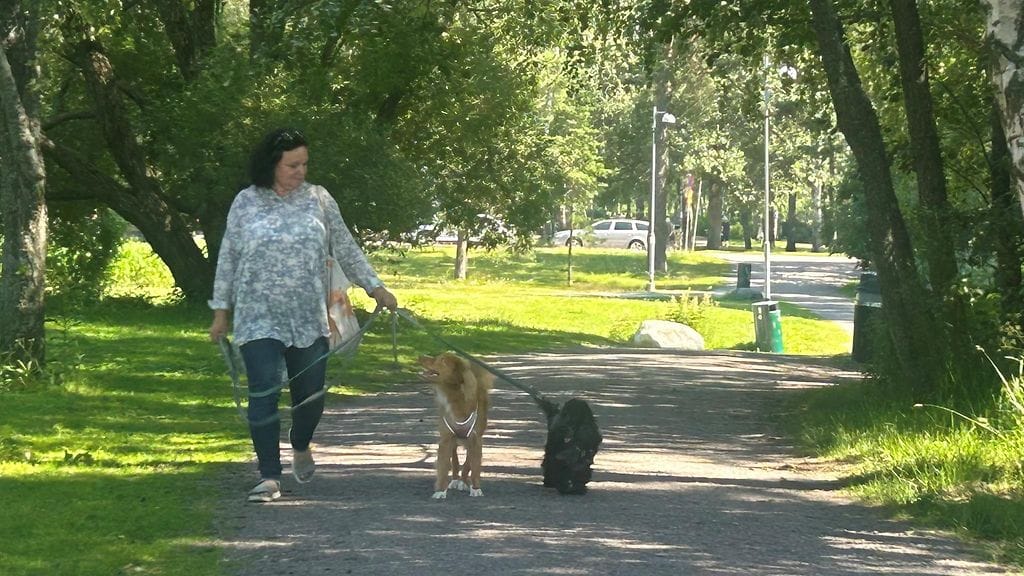 Anne Laakso ja koirat