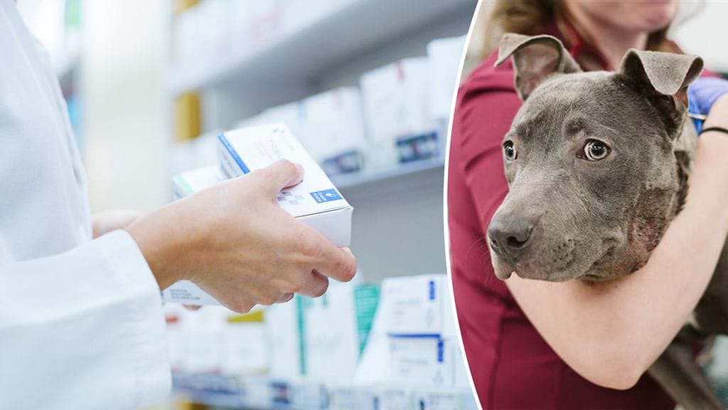 Vaikka edullisempaa valmistetta olisi tarjolla, siihen ei voi vaihtaa ilman nimenomaista lupaa.