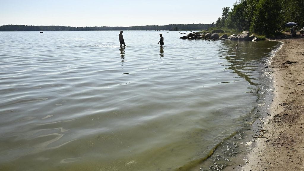 Vibrioosia levittävät bakteerit viihtyvät erityisen hyvin murtovedessä, jollainen Itämeri on. Kuvassa Haminan Pitkienhiekkojen uimaranta 24. heinäkuuta.