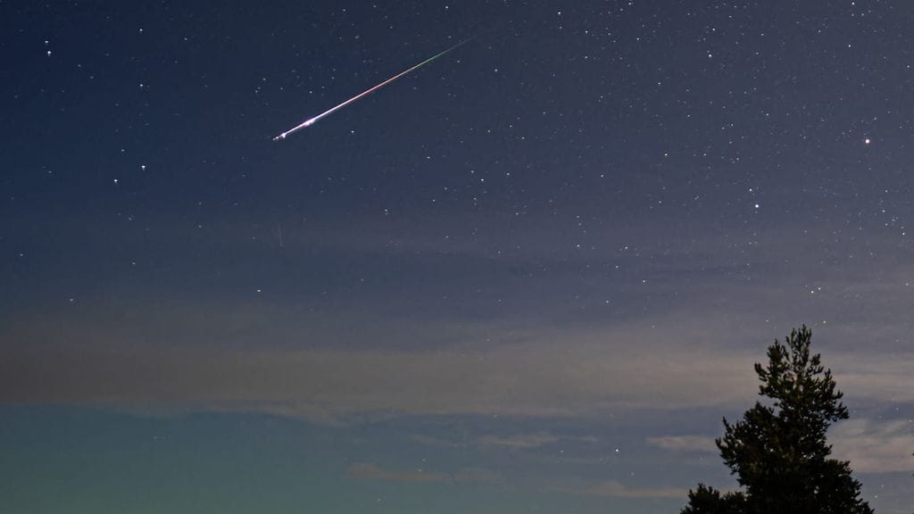 tähdelento petri mäkinen