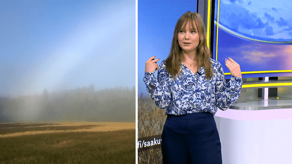 Sumukaari, Jenna Salminen