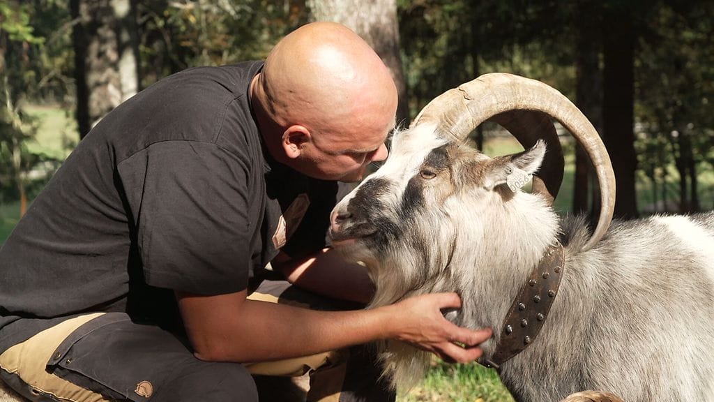 Asian ytimessä.doc: Joni ja Seppo-vuohi