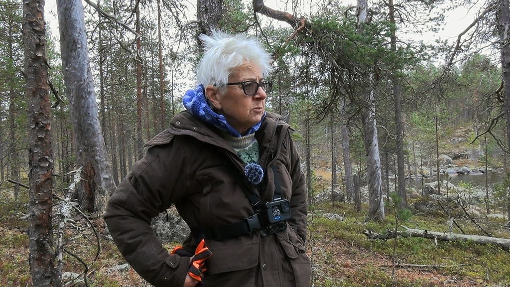 Kaunista_mutta_karua-5