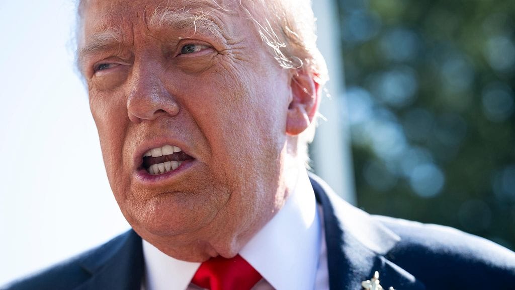 UFC-tapahtuma järjestetään Valkoisessa talossa Donald Trumpin syntymäpäivänä