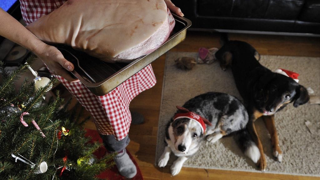 LK 12.12.2025 Joulukinkun paisto aloitettiin lauantaina puoliltapäivin Helsingissä 21. joulukuuta 2013.