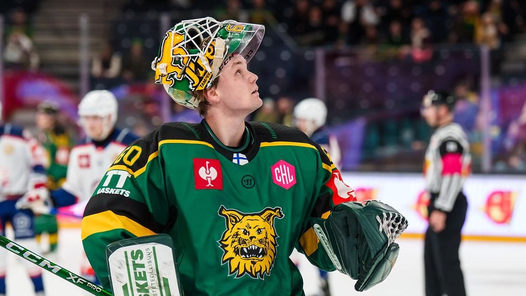 Roope Taponen pelasi Ilveksessä tällä kaudella kuusi liigaottelua.