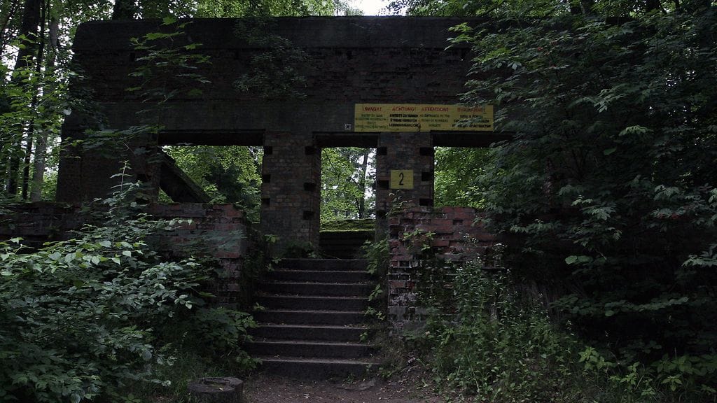 Sudenpesä, Adolf Hitler (2)