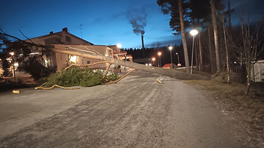 OMA Kaustisen peruskoulu ja myrskytuhot