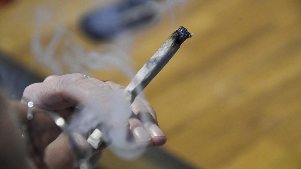 Eduskunta hylkäsi keskiviikkona kansalaisaloitteen kannabiksen laillistamisesta. Aloite hylättiin äänin 145-18. Kuvituskuva.