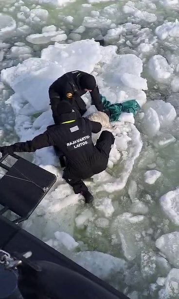 MERIVARTIOSTO KUUTTI 2