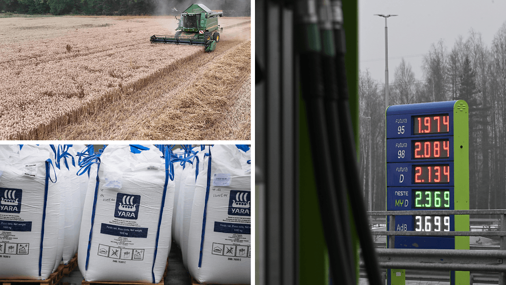 Lähi-idän sodan alussa markkinoilla eläteltiin vielä toivoa siitä, että sota jäisi lyhyeksi ja häiriötilanne ohimeneväksi.