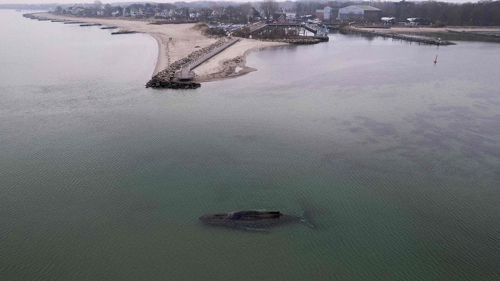 Jumittunut ryhävalas kuvattuna tiistaina rantavedessä Pohjois-Saksassa Itämeren rannikolla.
