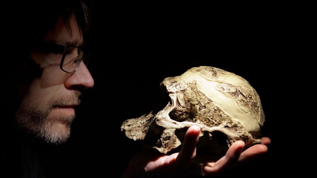 Kuvituskuva: Fossiililöydöt antavat mielenkiintoista tietoa ihmisapinoiden ja samalla ihmisen esi-isistä.