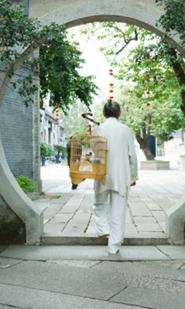 Mitä kaikkea ihminen ehtisikään nähdä neljännesvuosisadan aikana?