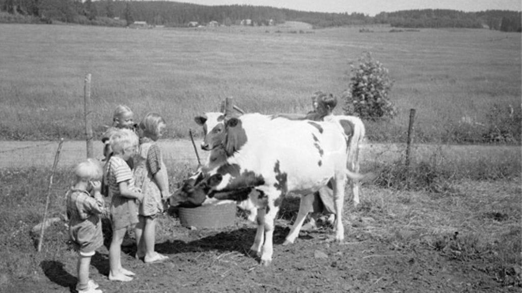 Kuvan henkilöt eivät liity haastatteluun.